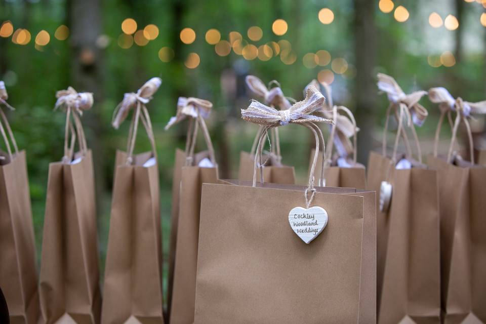 Cockley Woodland Wedding 17