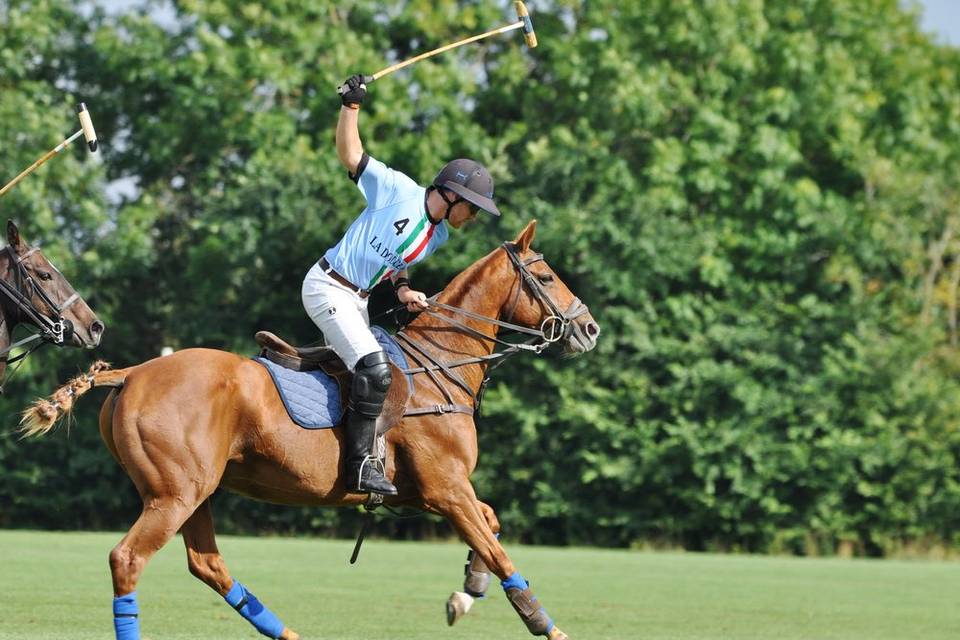 Silver Leys Polo Club