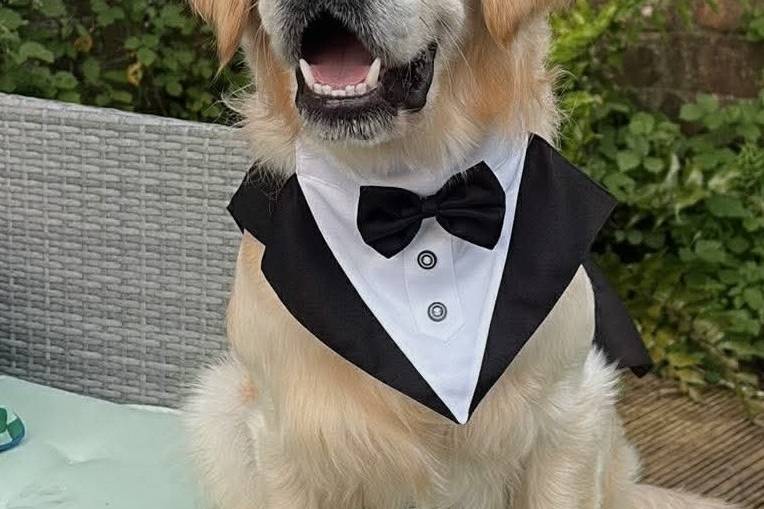 Obi- Dressed To Impress