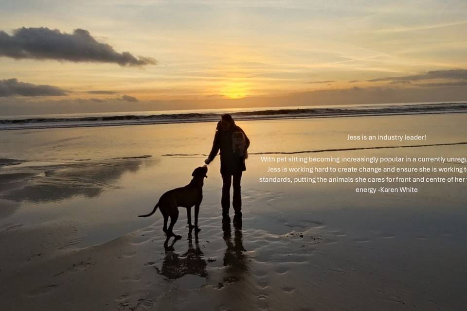 Cornish Sunset Customer review