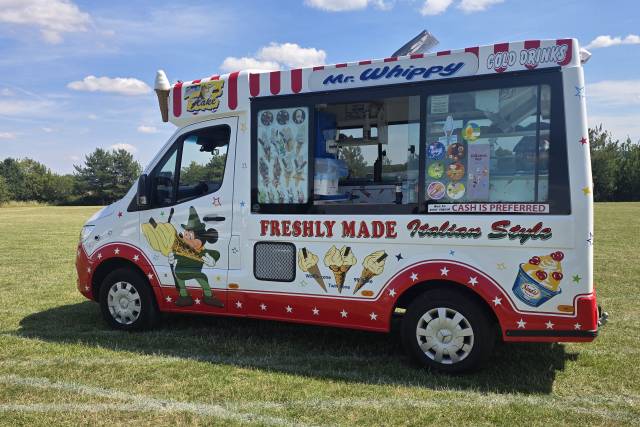 Traditional Disney Van