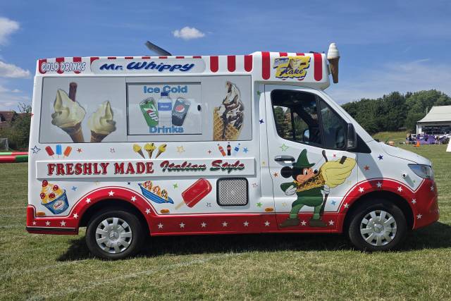 Traditional Disney Van
