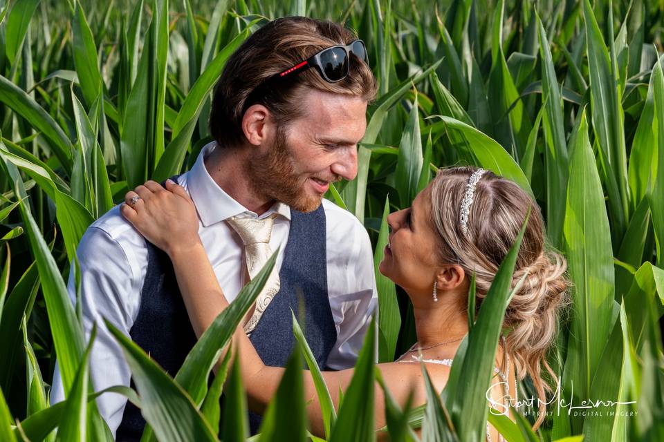 In the corn field