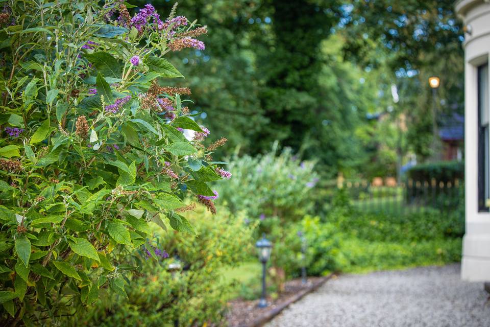 Garden Area