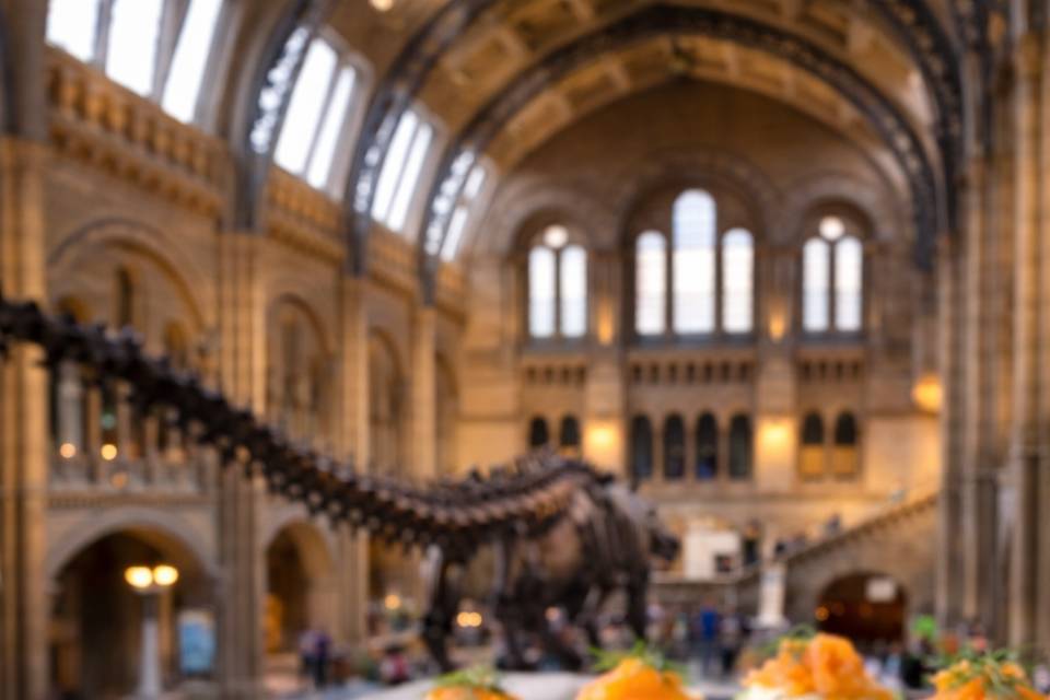 Smoked salmon canape