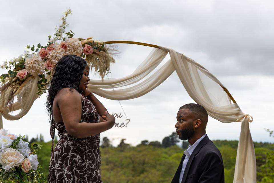 Proposal