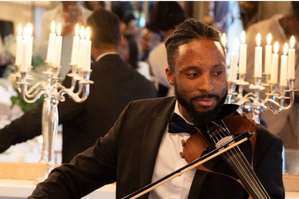 Violinist Wowing The Guests
