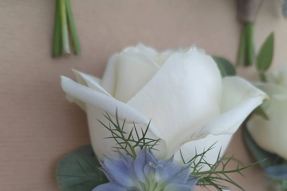 Cute buttonhole