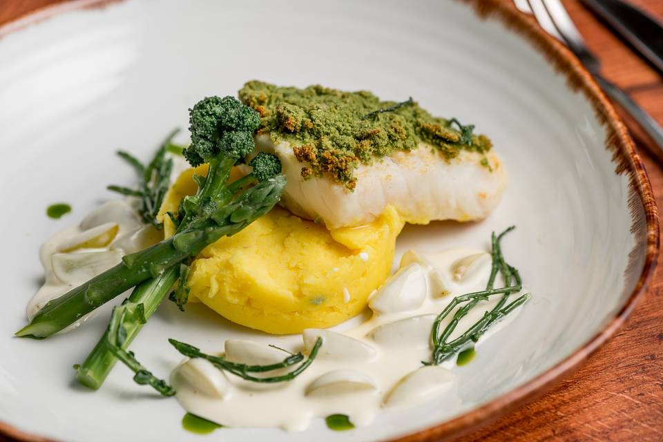 Halibut