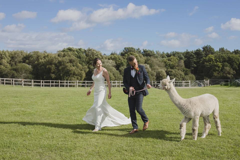 Essential wedding guest