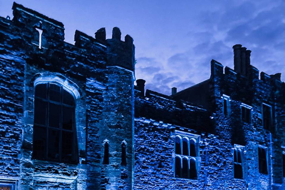 Wedding Venue Lighting